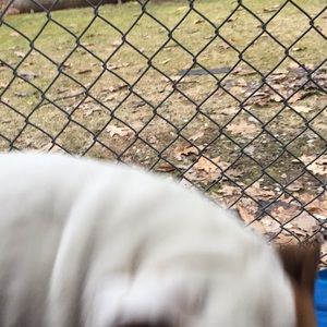 Meet your Posher, Keith